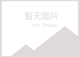 日照岚山傲之水泥有限公司